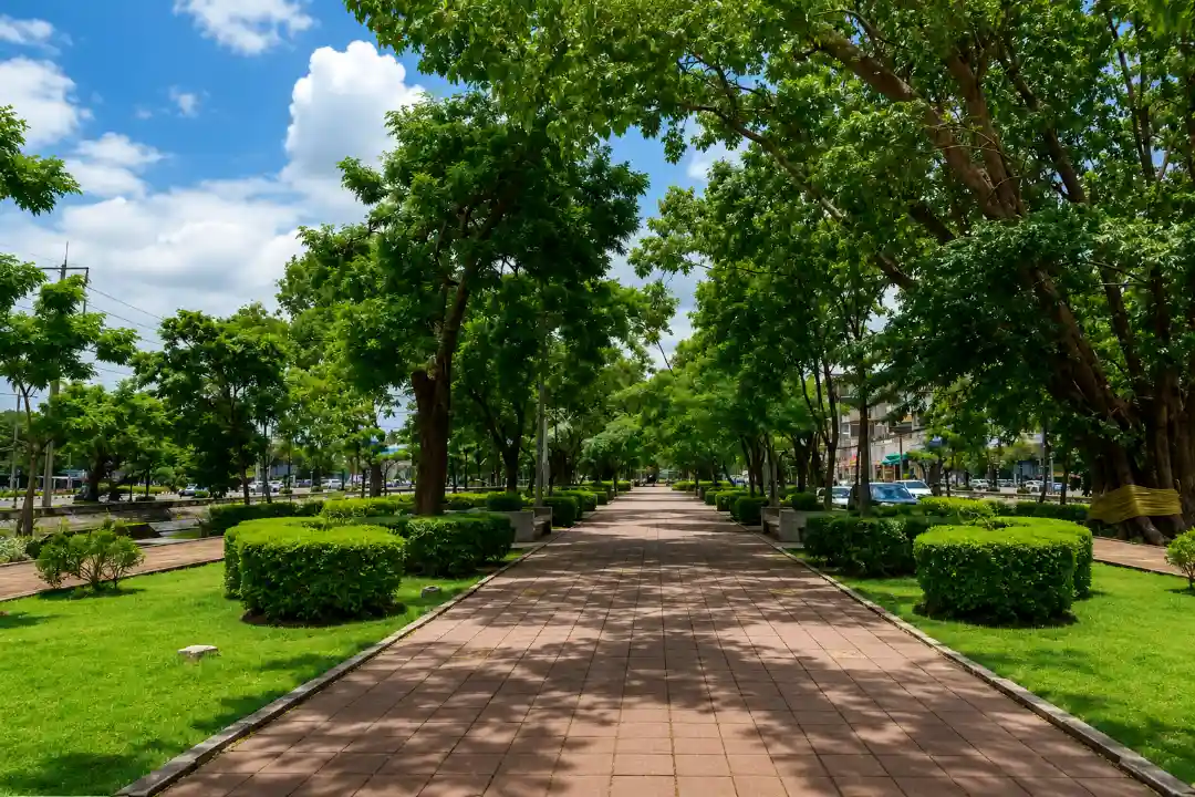 Garden